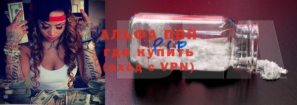 твердый Ладушкин