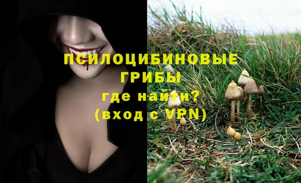 МДМА Анжеро-Судженск