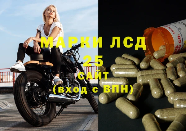 твердый Ладушкин