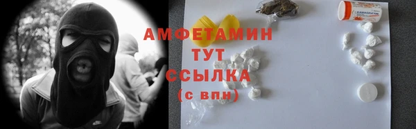 твердый Ладушкин