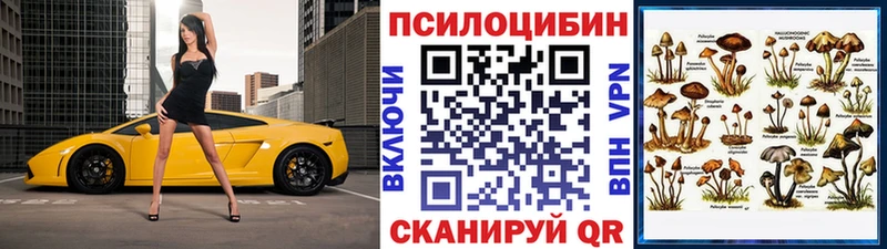 Псилоцибиновые грибы мухоморы  где продают наркотики  Невельск 